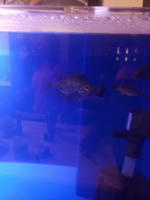 20201025_082014.jpg 20201025_082014.jpg