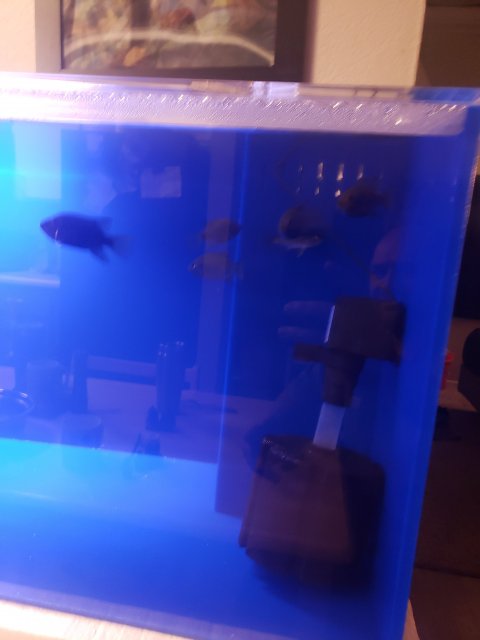 20201025_082012.jpg 20201025_082012.jpg