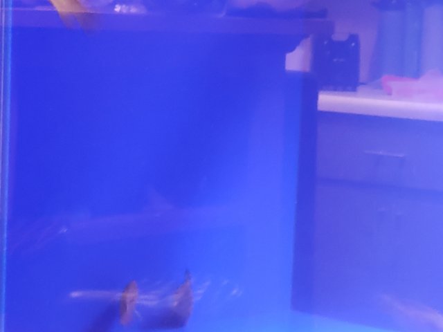 20201025_081759.jpg 20201025_081759.jpg