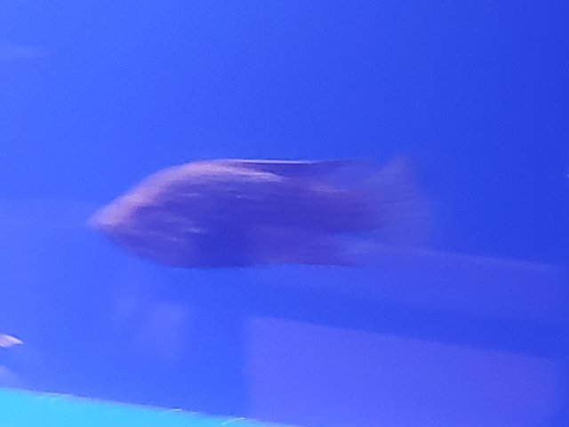 20201025_081749.jpg 20201025_081749.jpg