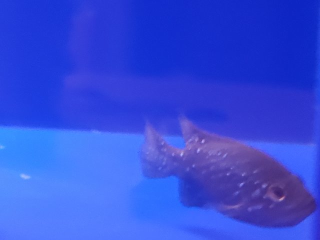 20201025_081737.jpg 20201025_081737.jpg