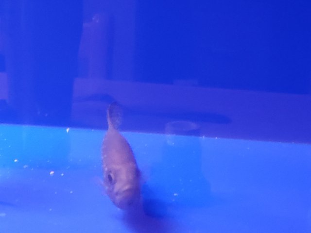 20201025_081736.jpg 20201025_081736.jpg