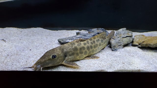 20201028_200057.jpg