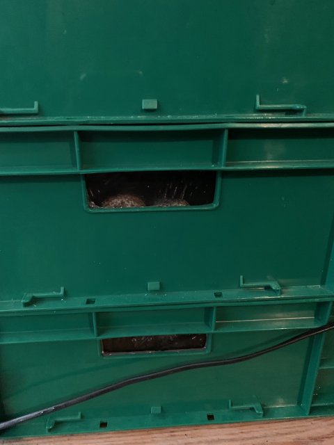 IMG_2555.jpeg IMG_2555.jpeg