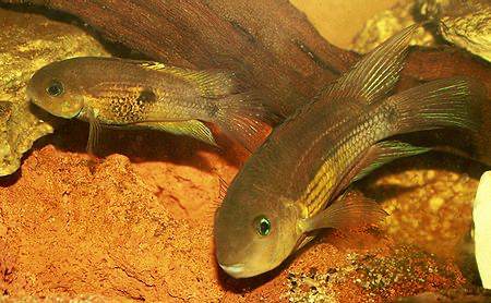 1604174767189.png 1604174767189.png