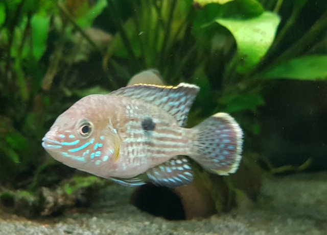 20201101_073126.jpg 20201101_073126.jpg