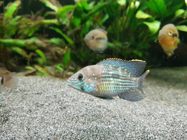 20201031_211840.jpg 20201031_211840.jpg