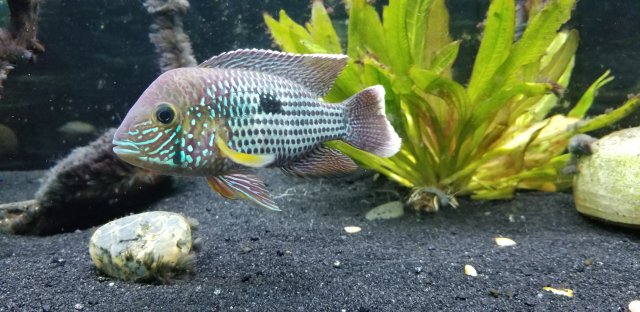 20200421_183210.jpg 20200421_183210.jpg