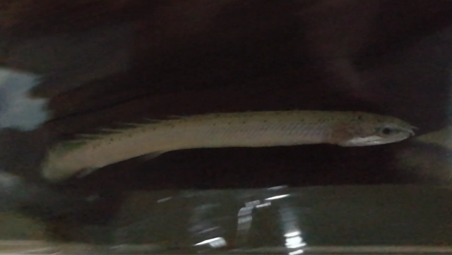 IMG_20201101_204839.png