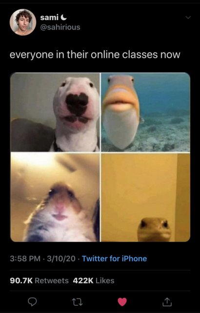 76097AA0-CB00-49F5-9D36-AF3F2DBAB88D.jpeg