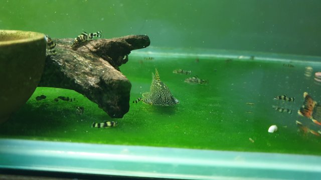 20200927_222731.jpg