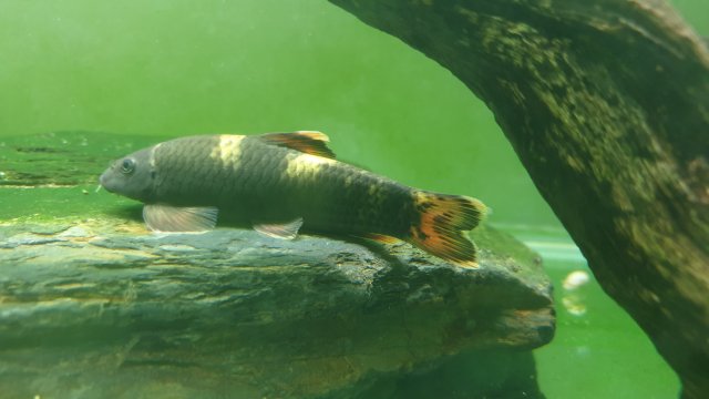 20201003_203809.jpg