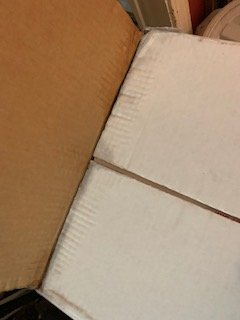 F1BE9608-1B9A-4A0A-A067-5BEB8DA837E1.jpeg