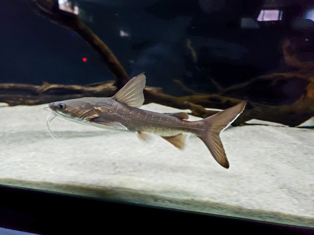 20201106_085822.jpg