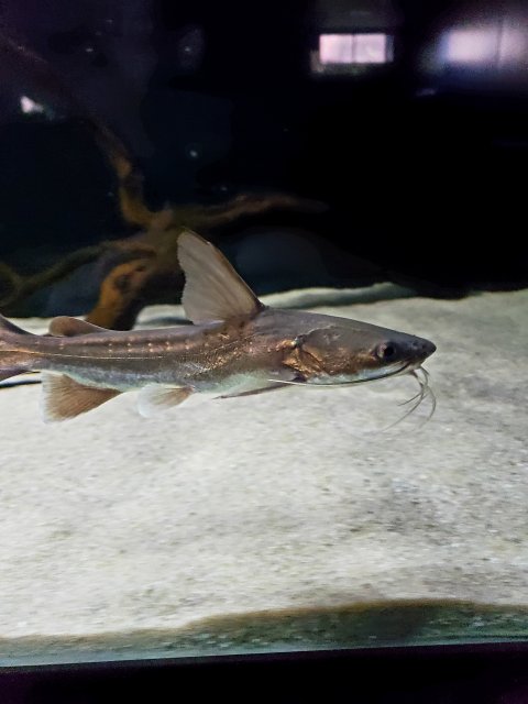20201106_085859.jpg