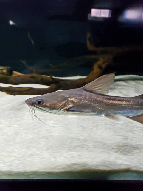 20201106_085803.jpg