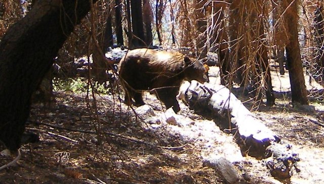 DSCF1834_cr.jpg
