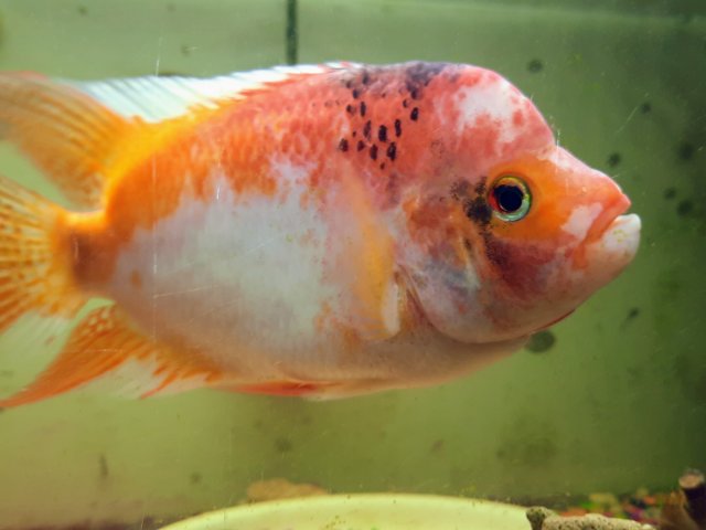 20201105_204135_1~2.jpg