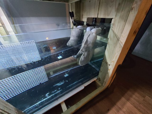 20201109_173224.jpg 20201109_173224.jpg