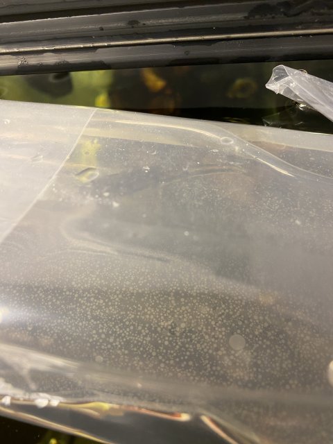 E645595B-EE96-4569-BE01-2D35959083CE.jpeg