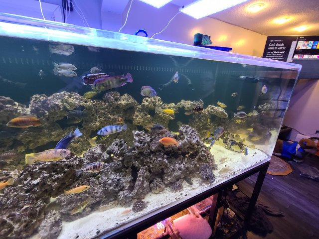 20201113_235312.jpg 20201113_235312.jpg