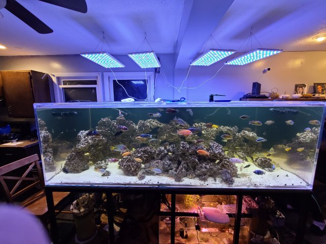 20201113_235302.jpg 20201113_235302.jpg