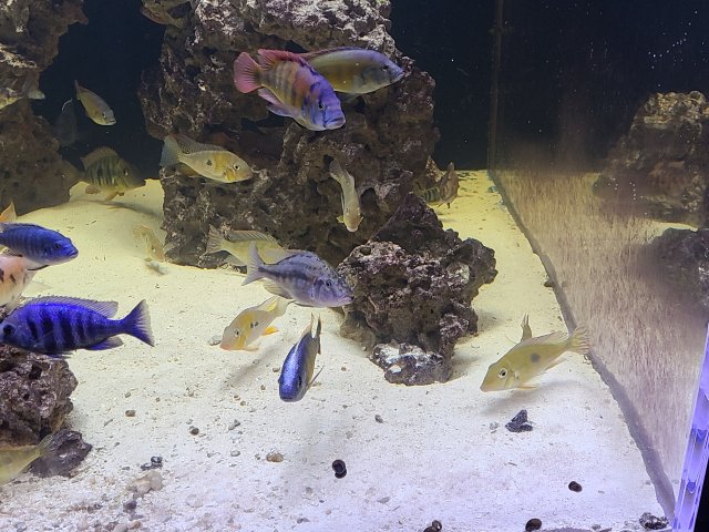 20201113_235116.jpg 20201113_235116.jpg