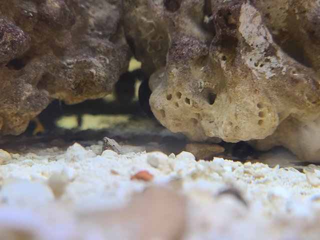 20201113_235026.jpg 20201113_235026.jpg