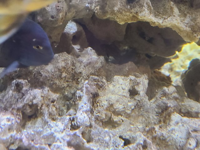 20201113_235016.jpg 20201113_235016.jpg