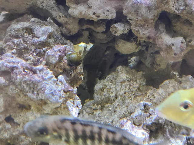 20201113_235009.jpg 20201113_235009.jpg