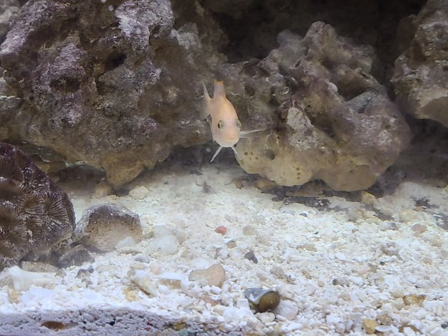 20201113_234958.jpg 20201113_234958.jpg