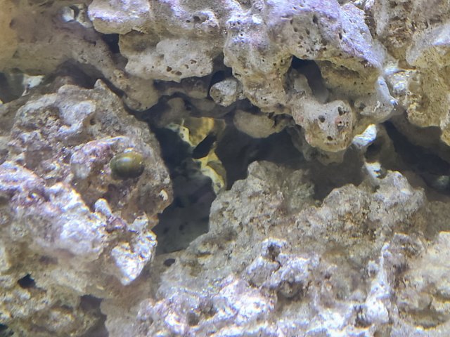 20201113_234955.jpg 20201113_234955.jpg