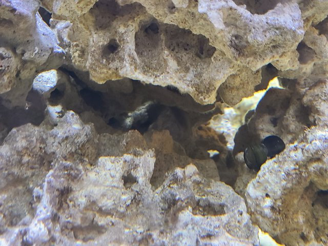 20201113_234950.jpg 20201113_234950.jpg