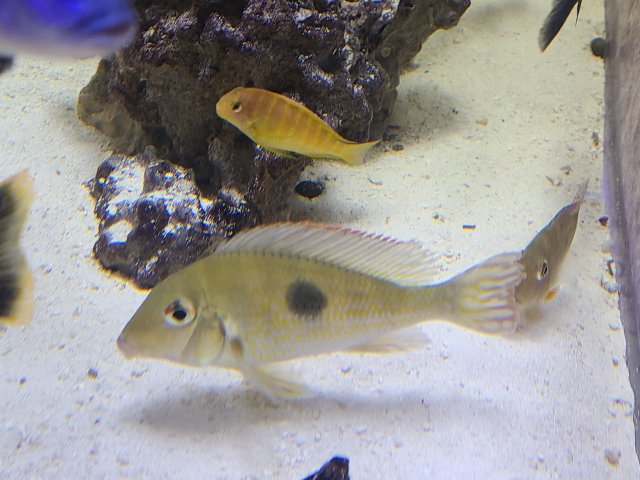 20201113_234906.jpg 20201113_234906.jpg