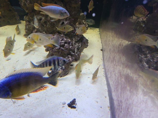 20201113_234903.jpg 20201113_234903.jpg