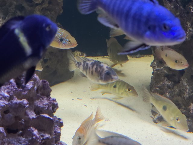 20201113_234839.jpg 20201113_234839.jpg