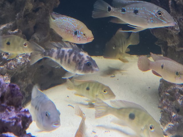 20201113_234836.jpg 20201113_234836.jpg