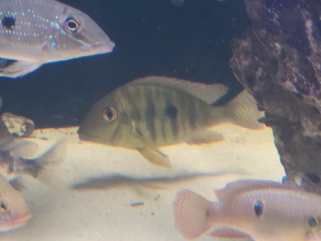 20201113_234827.jpg 20201113_234827.jpg