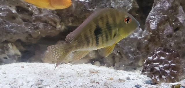 20201114_102815.jpg 20201114_102815.jpg