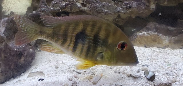 20201114_102810.jpg 20201114_102810.jpg