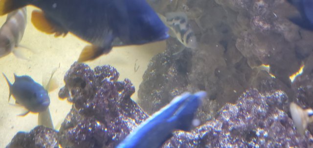 20201114_102749.jpg 20201114_102749.jpg