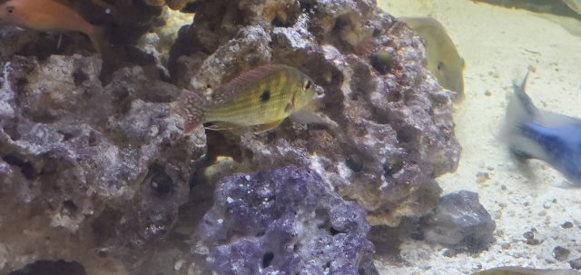 20201114_102648.jpg 20201114_102648.jpg