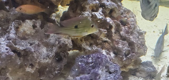 20201114_102647.jpg 20201114_102647.jpg