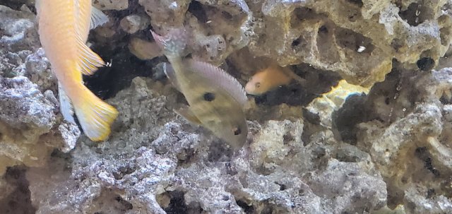 20201114_102645.jpg 20201114_102645.jpg