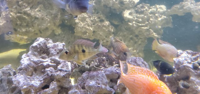 20201114_102624.jpg 20201114_102624.jpg