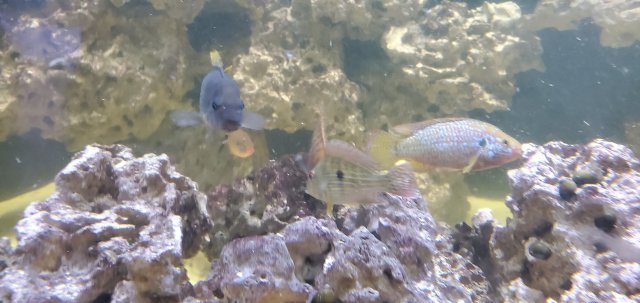 20201114_102621.jpg 20201114_102621.jpg