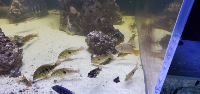 20201114_102612.jpg 20201114_102612.jpg