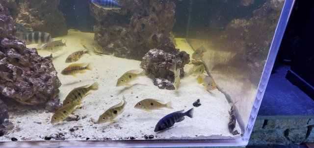 20201114_102607.jpg 20201114_102607.jpg