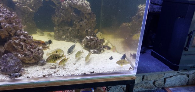 20201114_102558.jpg 20201114_102558.jpg