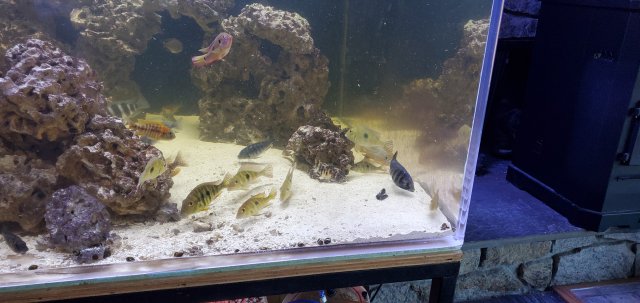 20201114_102556.jpg 20201114_102556.jpg